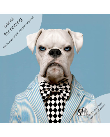 Dapper Boxer 01 – dapper boxer dog panel | Mamidu