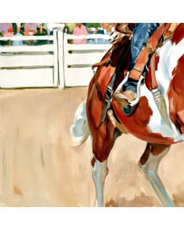 Rodeo Cowgirl 02 – Rodeo-Cowgirl auf Schecke | Mamidu