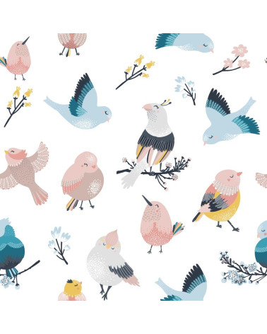 Sweet birds