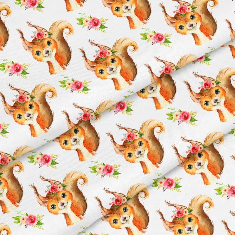 Squirrel fabric