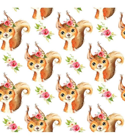 Squirrel fabric