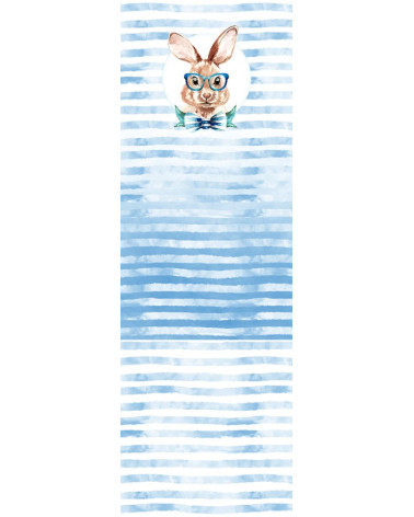 Bunny boy trolley insert