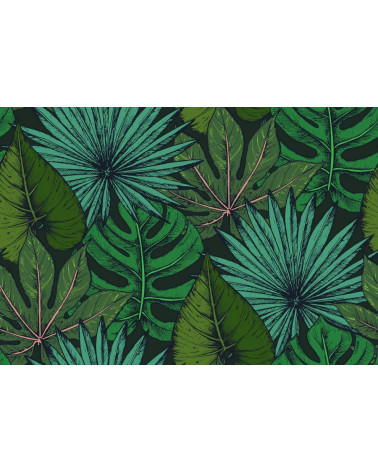tropic_leaves
