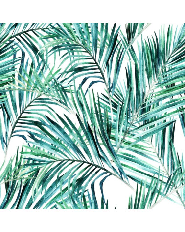 Palm leaf