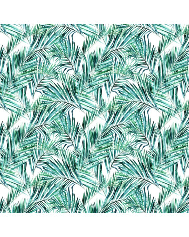 Palm leaf