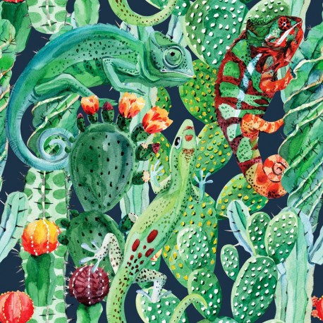 Chameleon & cactus 1
