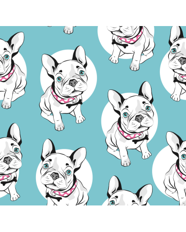 French bulldog blue