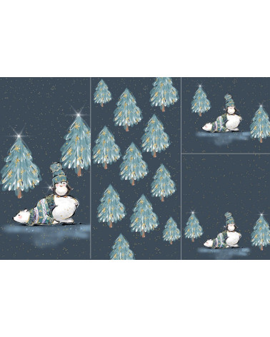 Panel for sleeping bag - Arctic land 1